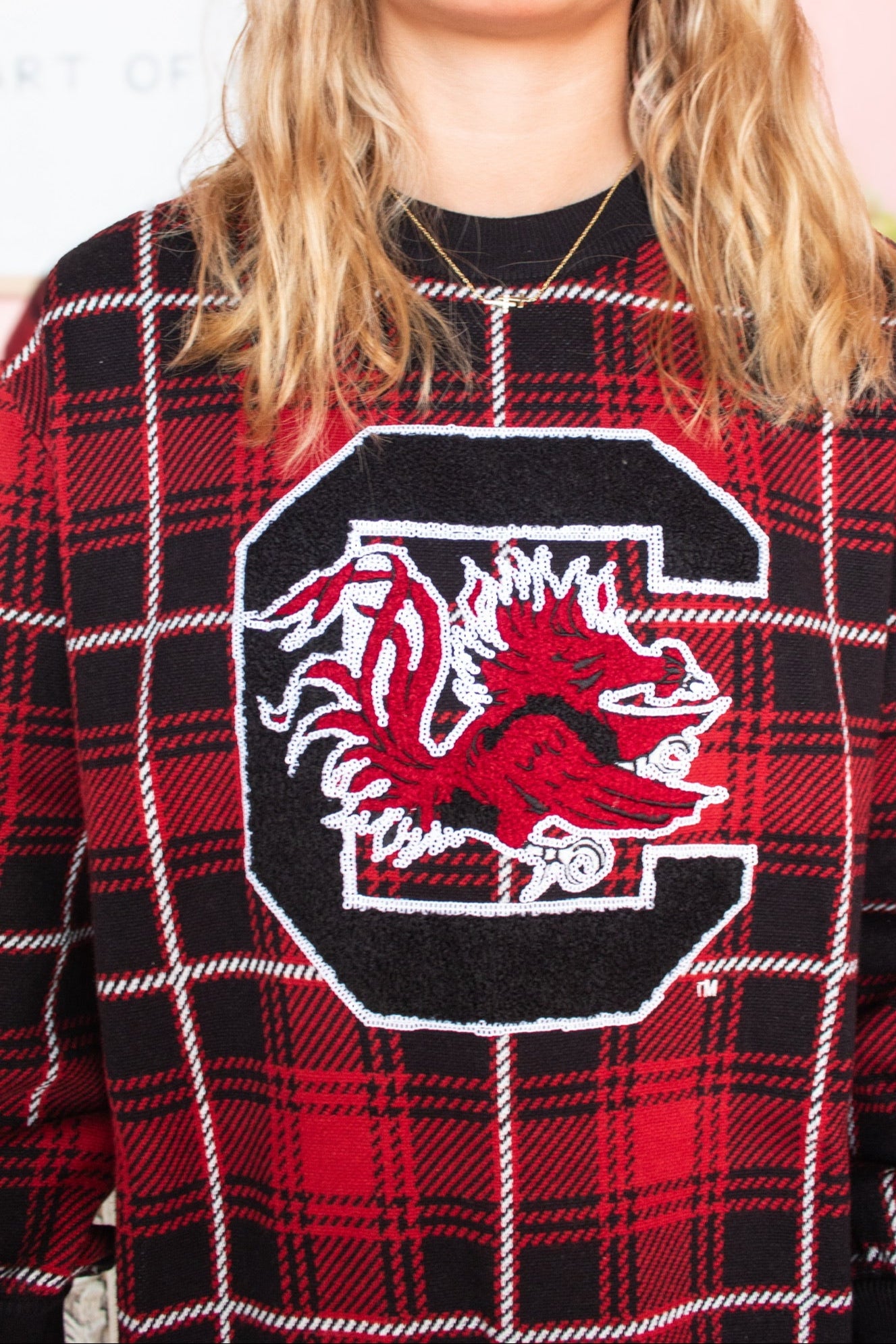 QOS South Carolina Mascot