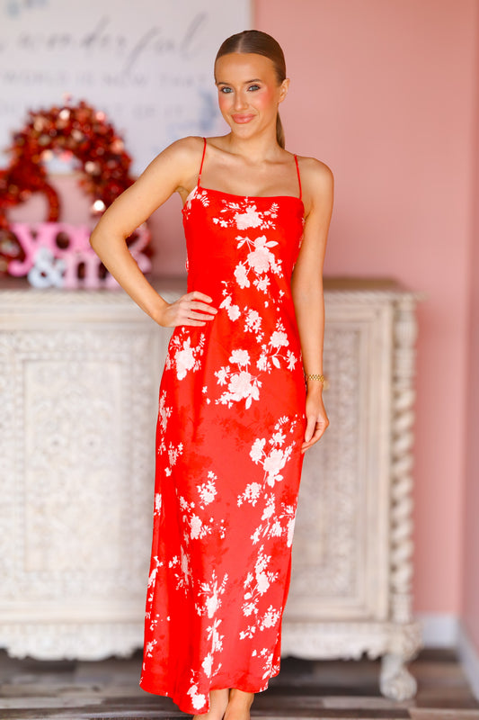 Alyse Darya Floral Maxi Dress