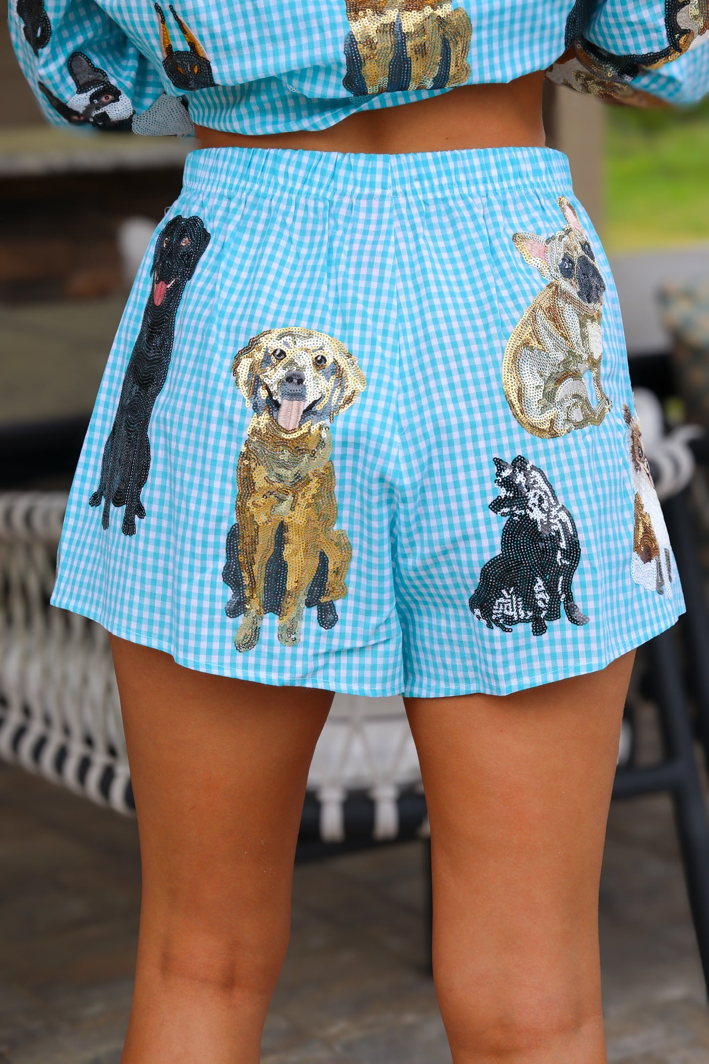 QOS Aqua Dog Shorts