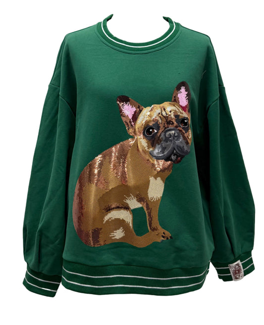 QOS French Bulldog