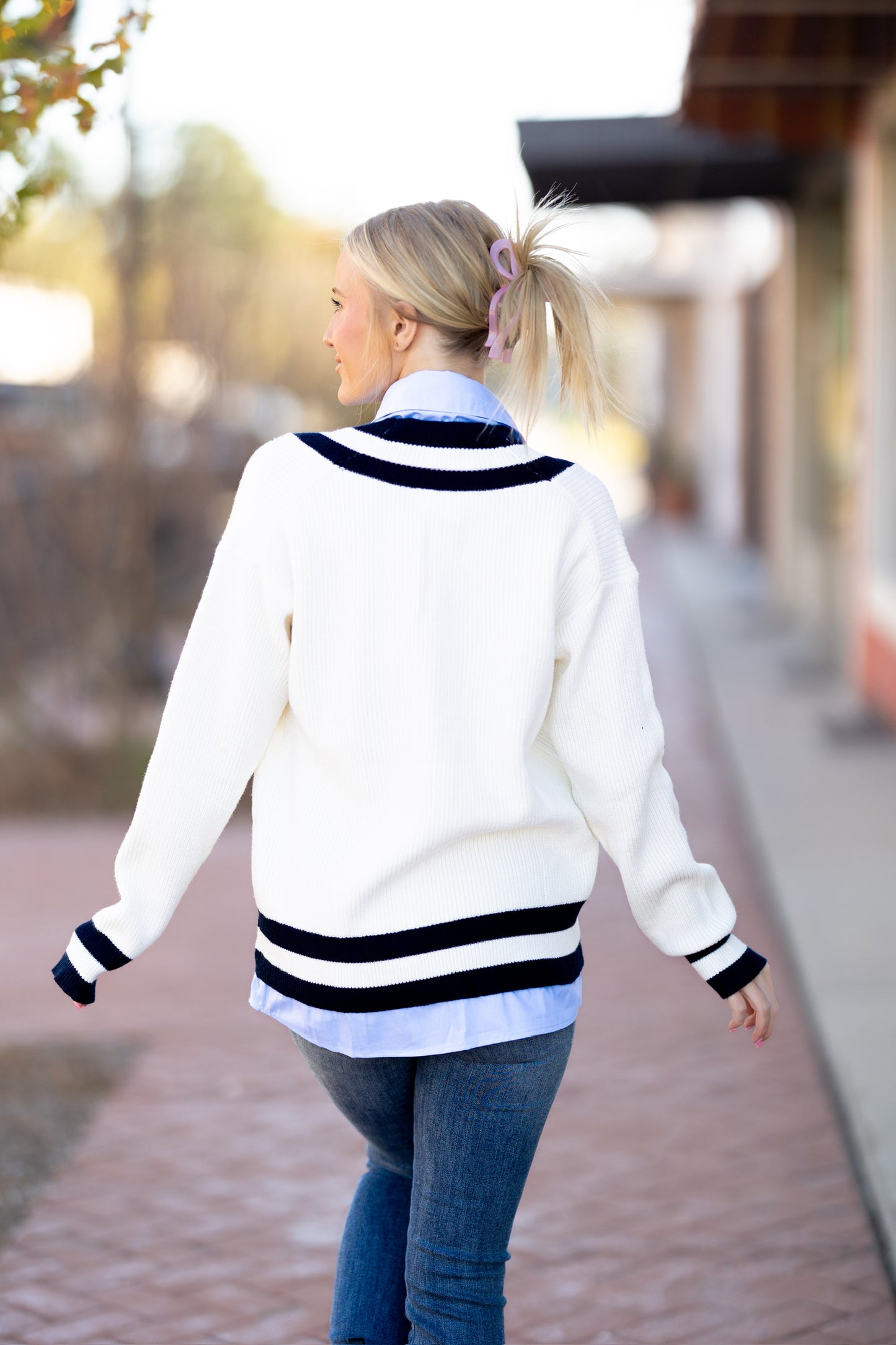 Ivory/Blue V Neck Sweater