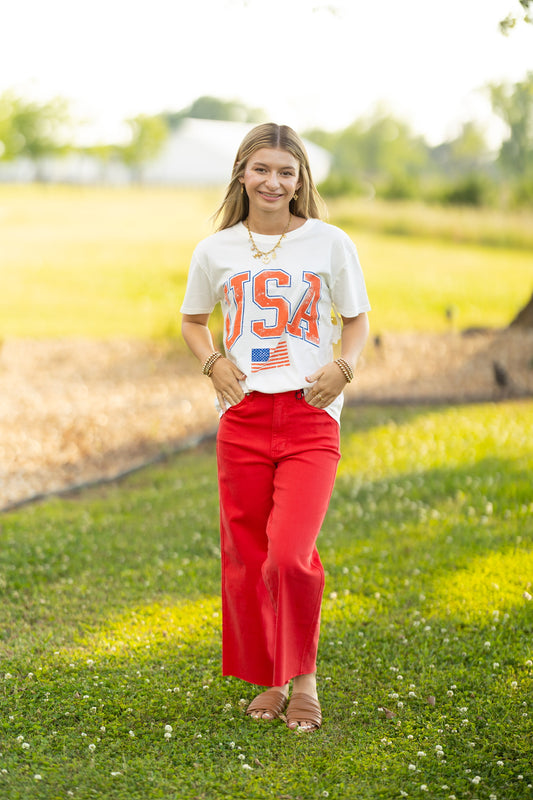 Cream USA Flag Tee