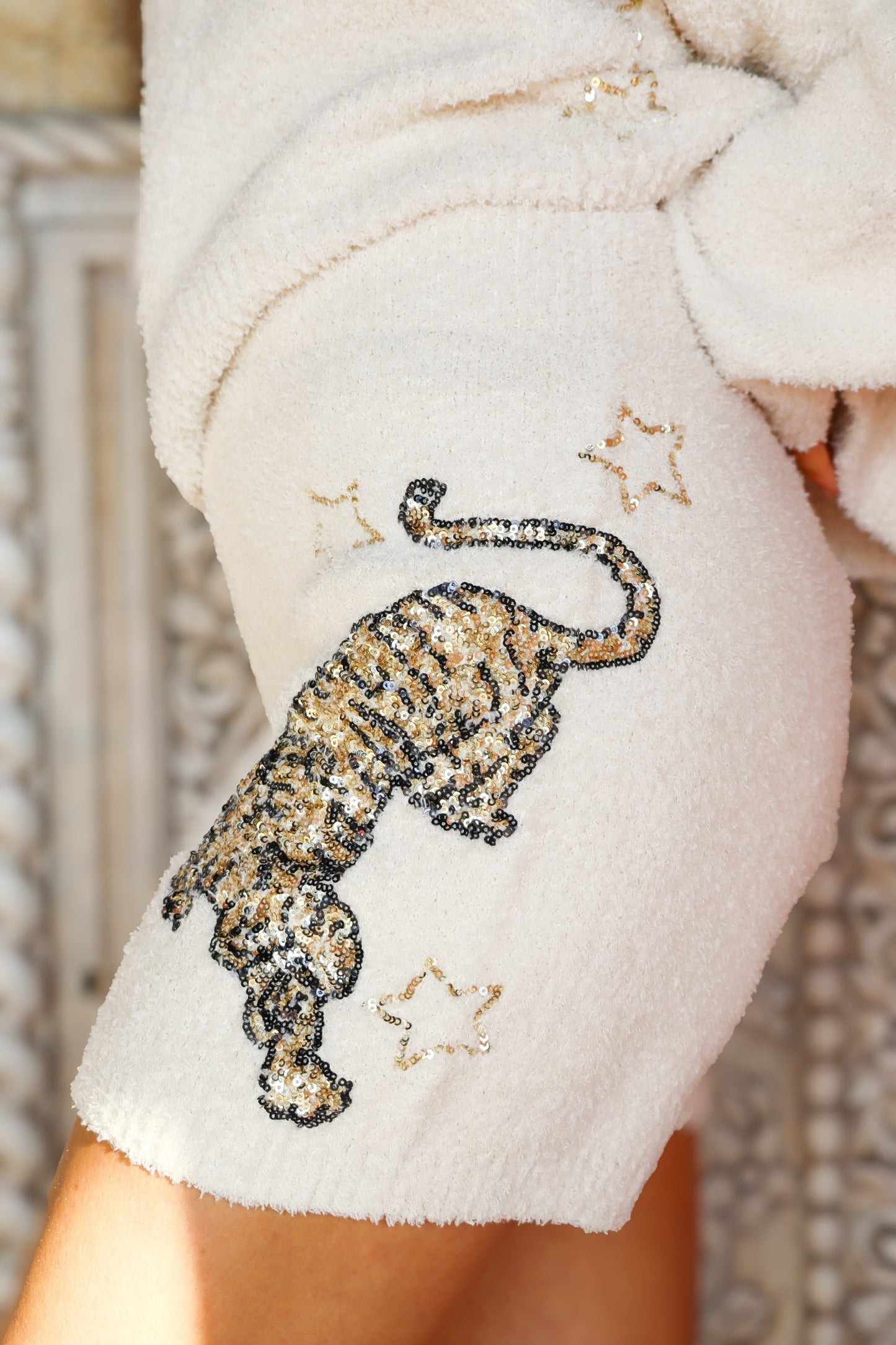 Cozy Knit Tiger Sequin Sweater Set